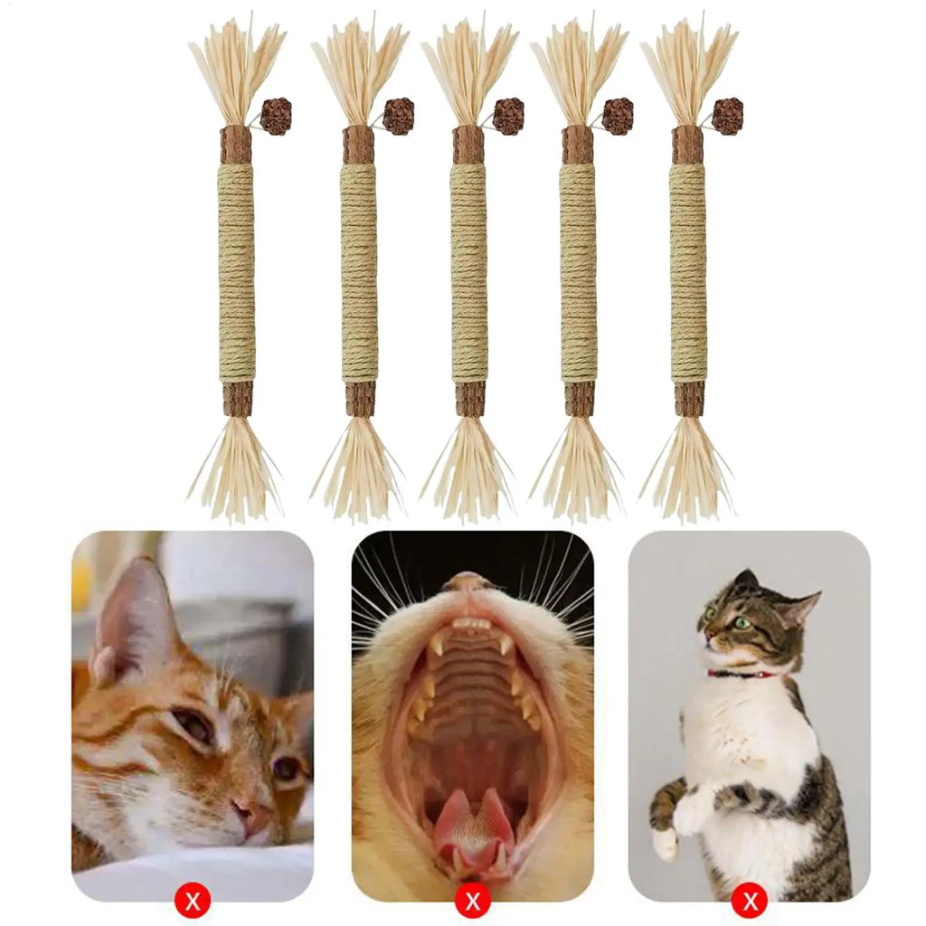 Cat Silvervine Sticks Edible Lick Catnip Supports Toys Kittens Chew Qme