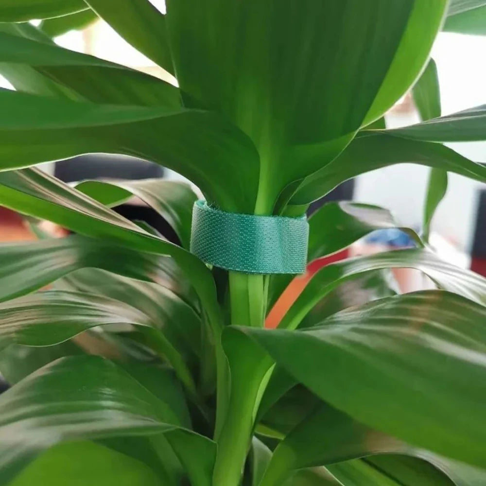 5M/10M Back To Back Velcro Plant Strap Velcro Strap Nylon Self-Adhesive Hook Hair Same Data Cable Tie Qme