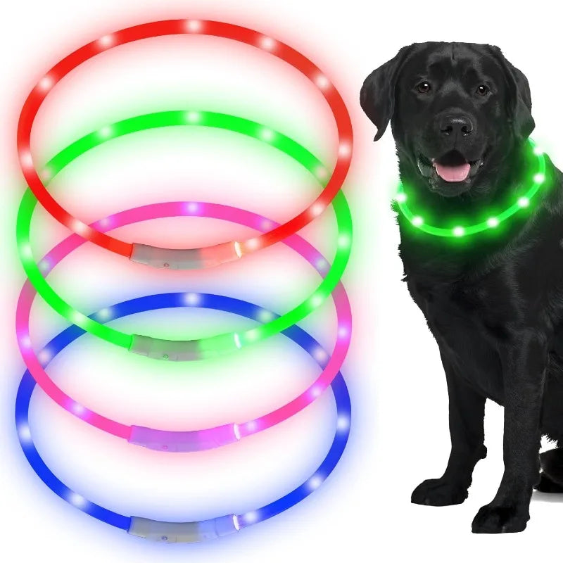 Dog collar LED USB charging light adjustable safety light, pet collar for walking dogs at night, illuminated collar Qme