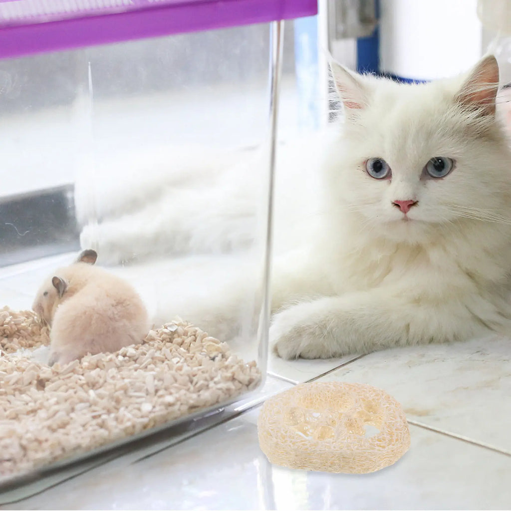 40Pcs Small Loofah Slices Pet Tooth Cleaning Tool Natural Chewing Ring for Hamsters Rabbits Bunny Mouth Care Animal Wellness Qme