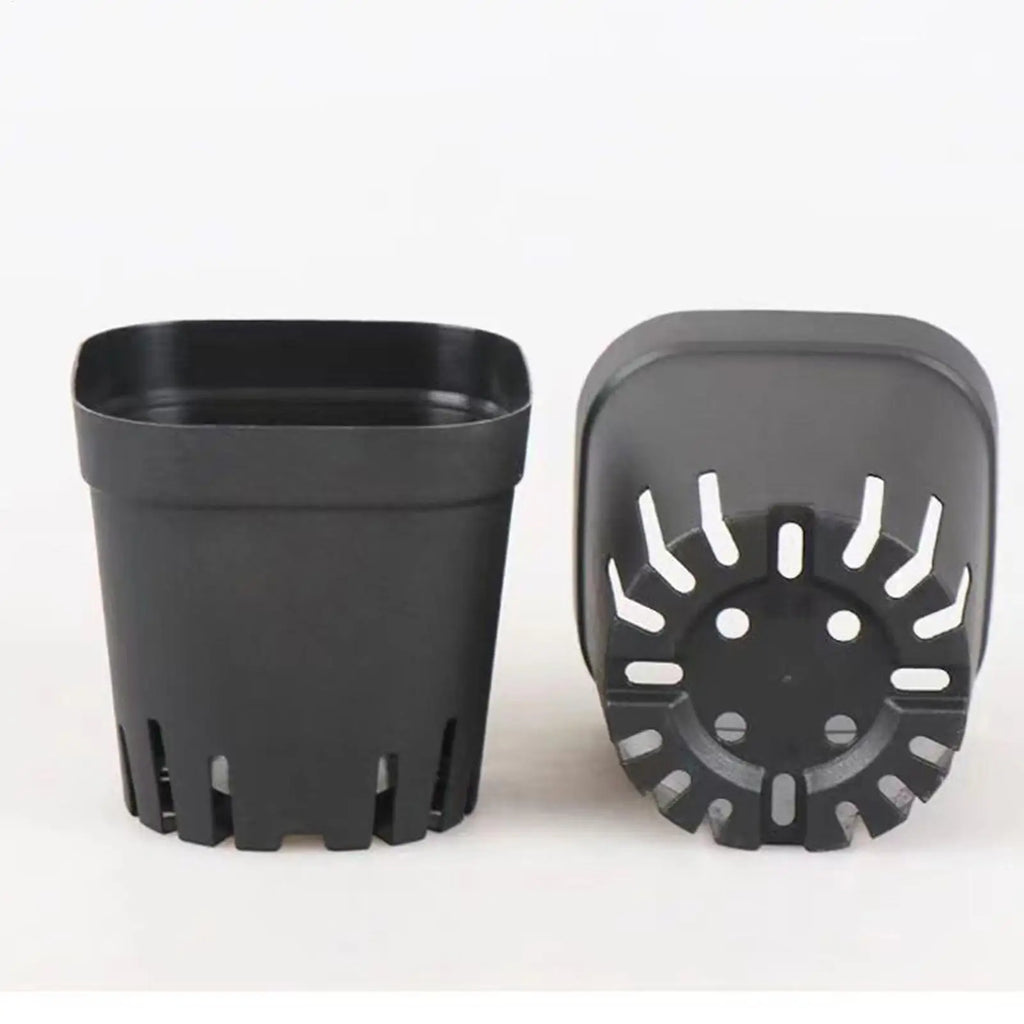 Pots For Seedlings Black Square Seedling Cups 50pcs Starter Pots Seedling Pots Nursery Pot Gardening Kit For Fruits Seedlings Qme