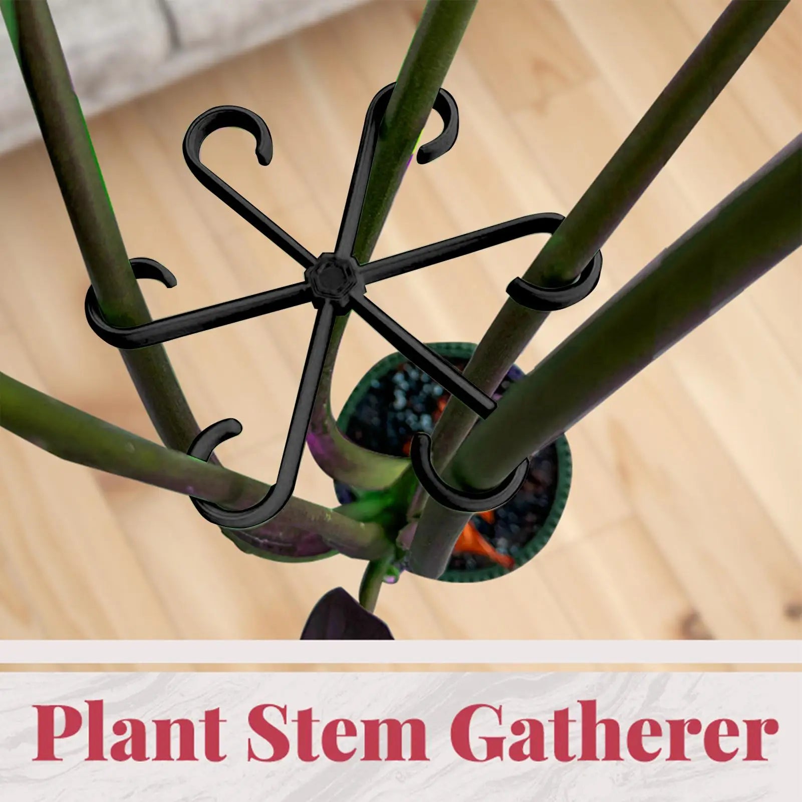Plant Support 4PCS Climbing Plant Stem Holder Hooks Fixing Clips for Supporting Climbing Alocasia Monstera Vines Flowers Qme