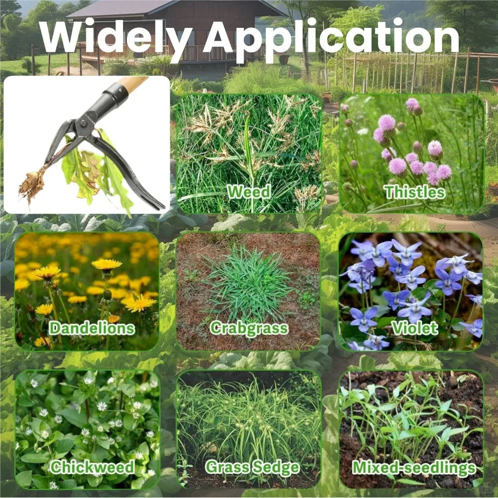 Stand Up Weed Puller Manual Vertical Weed Stuff/Pulling/Garden Tools Garden Foot Pedal Shovel Root Metal Weed Remover with Rod Qme