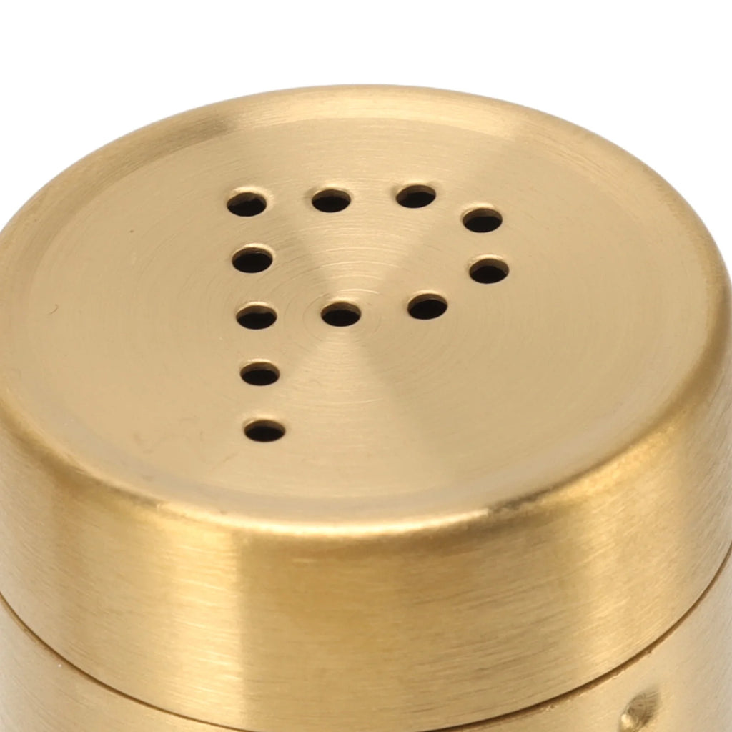 2Pcs Seasoning Shaker Stainless Steel Stain Resistant Spice Bottle Easy To Clean Rustproof for Cooking Enthusiasts for Home Qme
