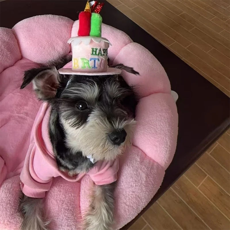 Birthday Cake Hat Pet Cap Headwear Adjustable Dog Cats Hats Dress Up Qme