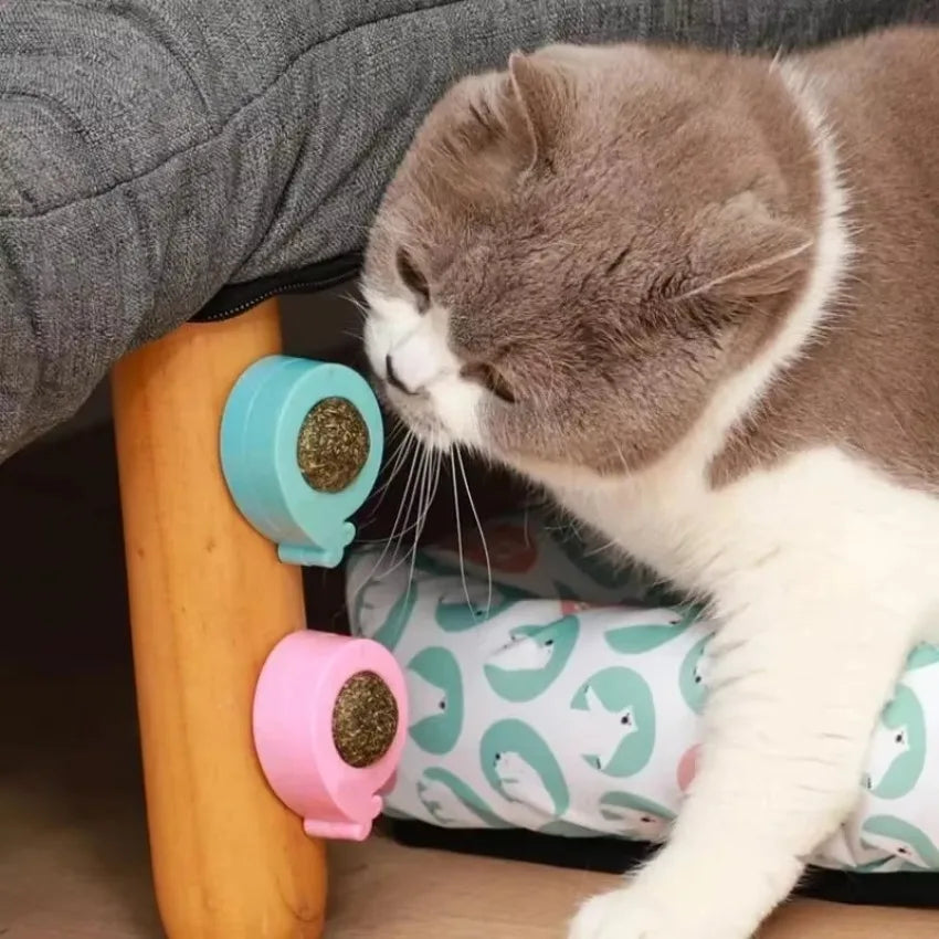 Rotating Catnip Ball Cat Shaped Pet Grinding Toy Interactive Licking Cats Scratch Ready To Eat Toy Ball Pet Supplies Wholesale Qme