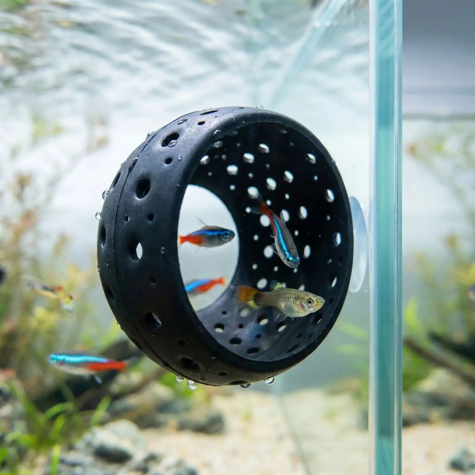 Betta Bulb Hide Tunnel Aquarium Fish Hideout with Suction Cup Shrimp Cave Aquarium Decor Fish Guppy Hiding Resting Supplies Qme