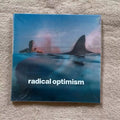 Ocean View Pop Music CD Album, Summer Optimism Style, Perfect for Music Lovers & Modern Aesthetic Collections Qme Disco CD