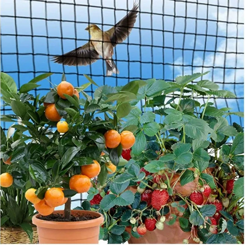 15M Grape Orchard Bird Proof Net Greenhouse Fish Pond Breeding Qme