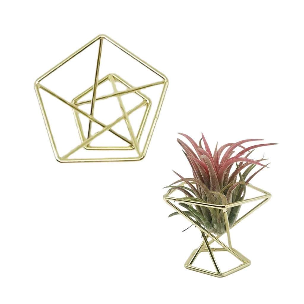 Rose Gold Geometric Air Plant Holder Metal Tillandsia Stand Hollow Display Rack Makeup Sponge Holder Home Desk Decor Qme