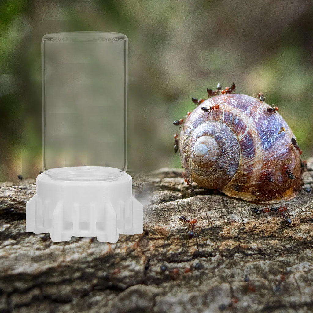 Ant Waterer Cup 20ml High Stability Reusable Ants Garden Accessories Simple Operation Professional Use Ant Feeder Qme