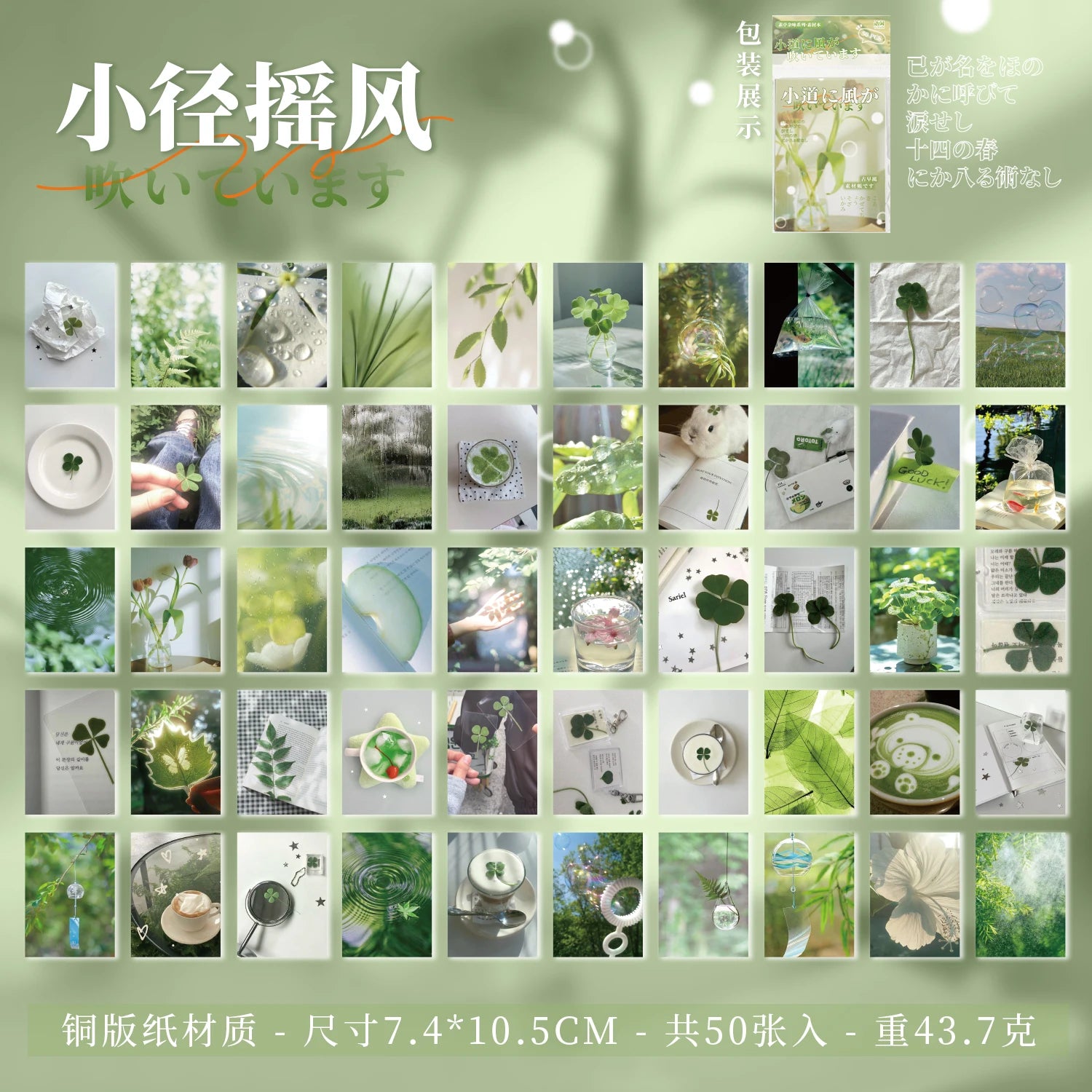 Vintage Minimalist Nature Theme Sticker Book 50 Sheets for Scrapbooking Journal DIY,Planner Collage Diary Supplies Qme 2