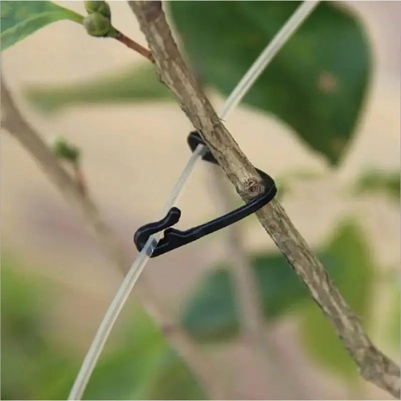 Garden Plant Ties Grapes Vine Binding Tape Adjustable Support Clips Qme