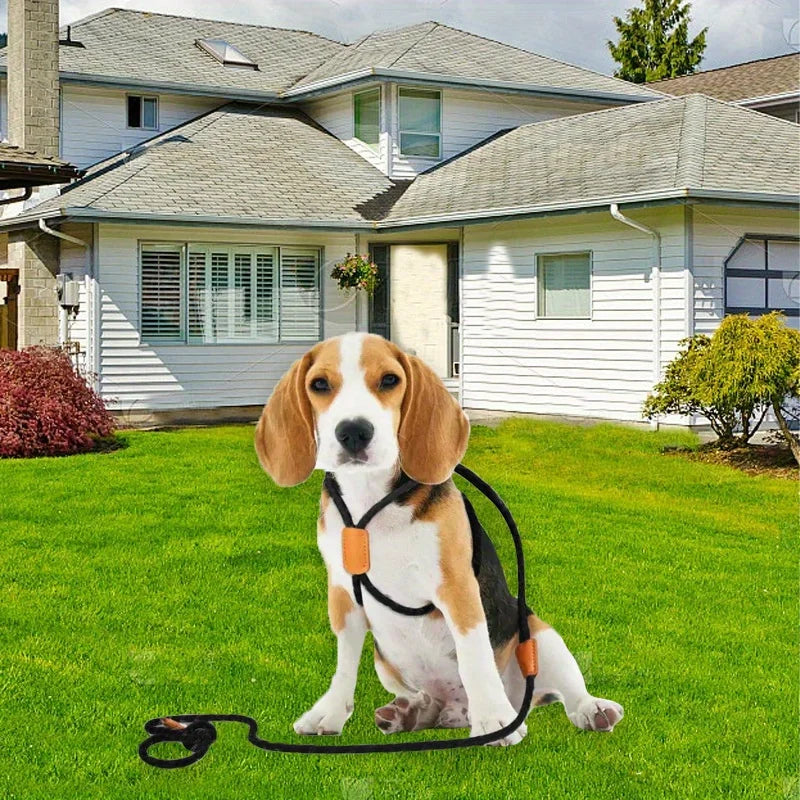 Integrated pet dog leash, nylon strap, adjustable dog chest strap, walking dog leash Qme