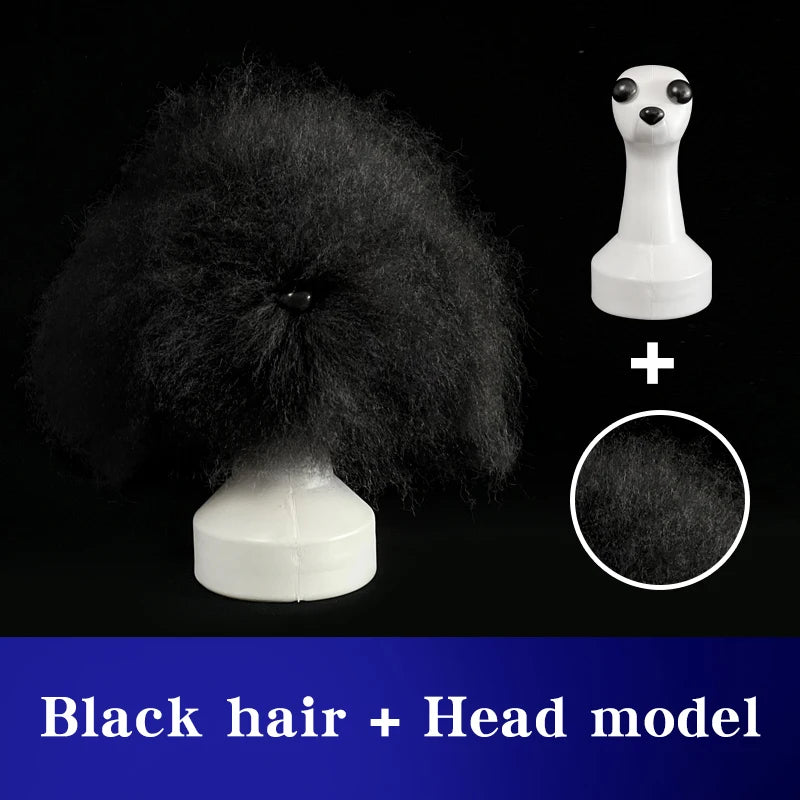 Teddy Pet Simulated Head Hair Fake Dog Head Model Beautician Practice Cutting Dog Hair Dog Body Wig Pet Grooming Student Study Qme Black hair and Model