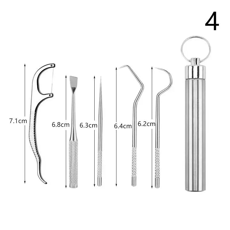 Metal Toothpicks Tooth Cleaningtool Storage Tube Stainless Steel Qme 4