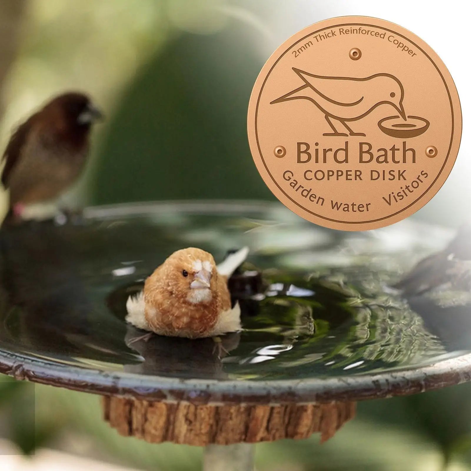 Water Fountain Disk for Bird Bath Copper Cleaning Disk Feeder Accessories Triple-Point Support Purifier Disc for Water Bowl Qme