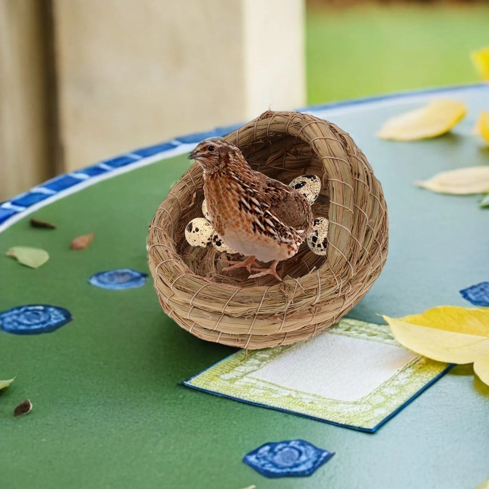 3Pcs Handwoven Straw Bird Nest 5.5 Inch Cozy Breeding Nest for Finch Canary Lovebird Parrot Rabbit Guinea Pig Small Animal Qme