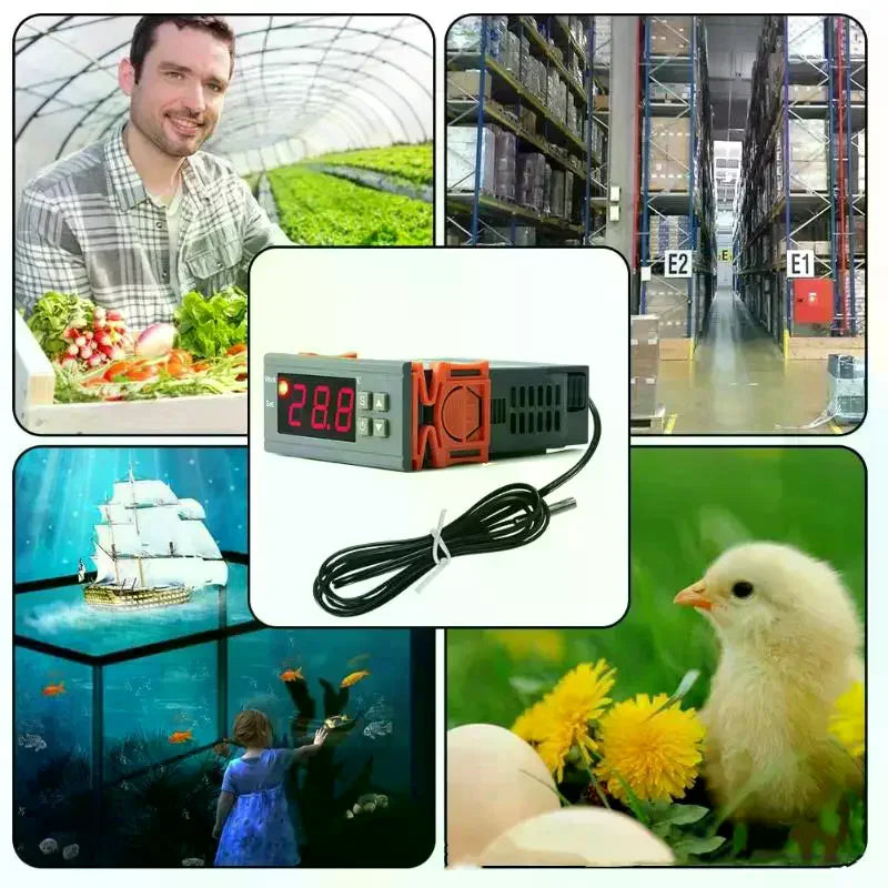 Dual Digital Thermostat Temperature Humidity Control 1210W Thermometer Hygrometer Incubator Controller 220V 12V 24V Qme