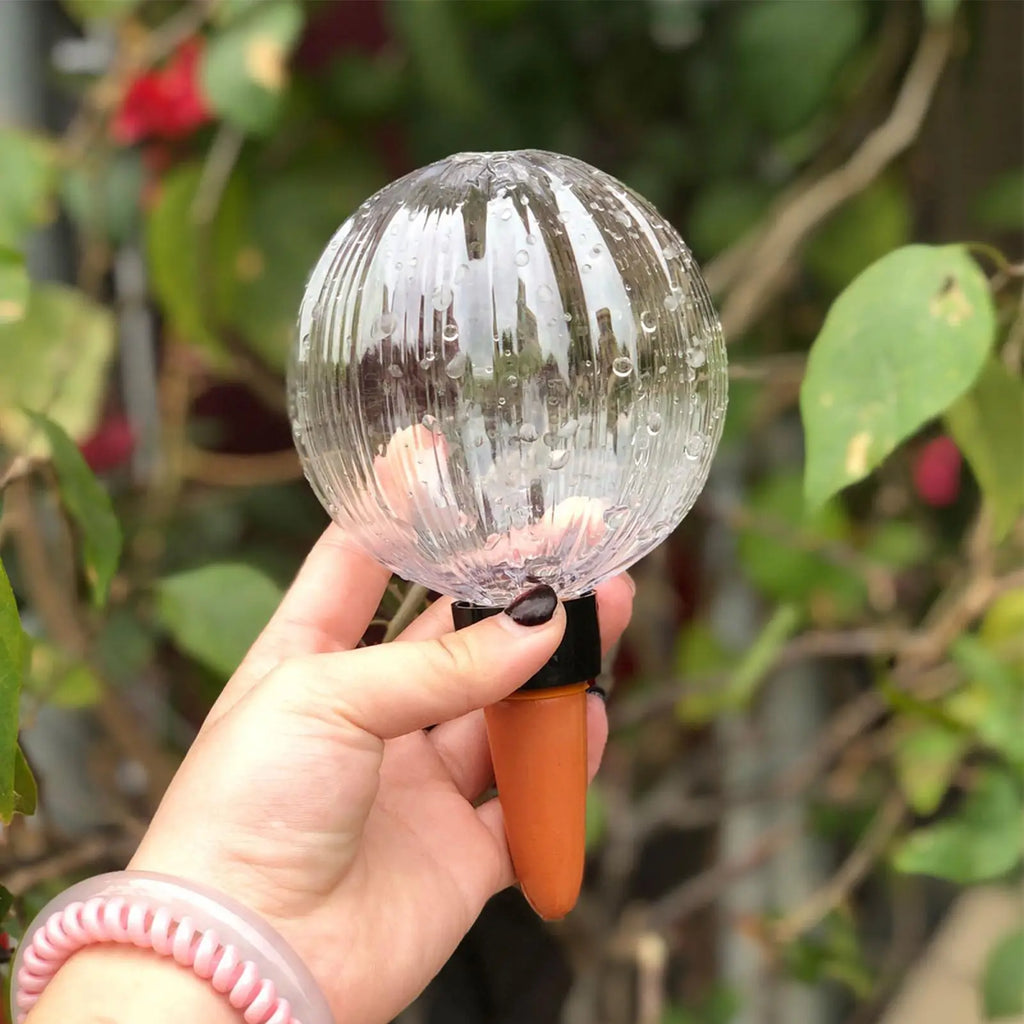 Plant Watering Globes 500ml Large Automatic Waterer Outdoor Plants Watering Spikes For Flower House Potted Hydroponic Grow Patio Qme