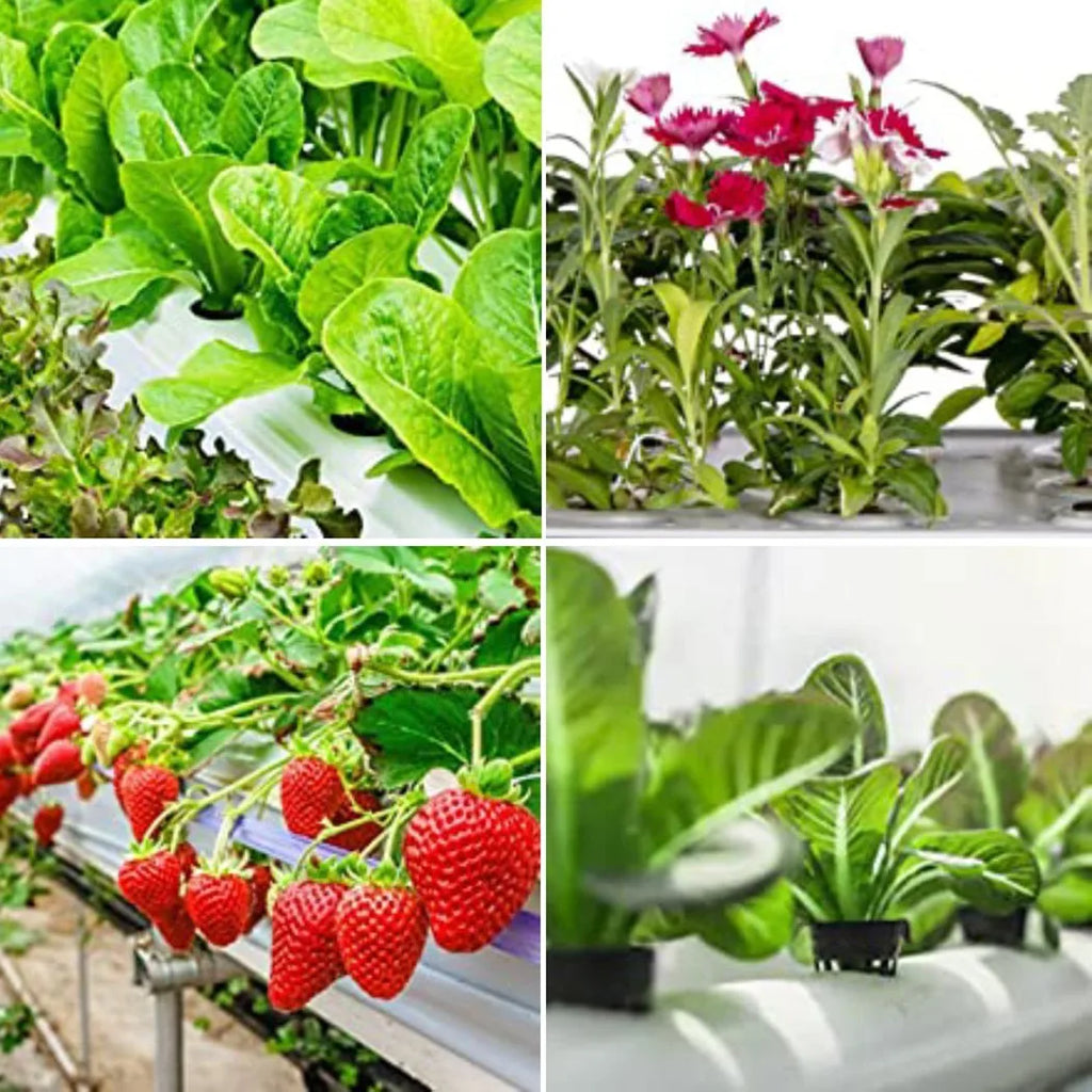 25PCS Hydroponic Pot Net Cup Hydroponic Soilless Mesh Net Basket Plant Veg Grow Nursery Cup Pot Garden Plant Basket Qme