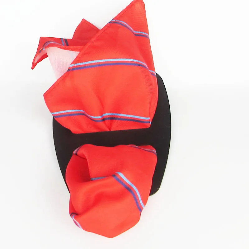 Fashion Pocket Square Holder Handkerchief Keeper Organizer Man Qme