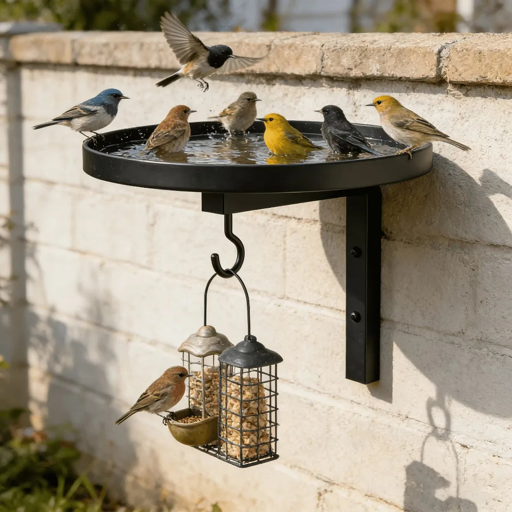 3-in-1 Wall Mounted Metal Bird Feeder Bath Plant Hook Rustic Garden Qme