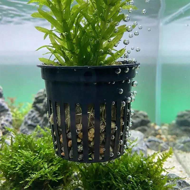 Pet Fish Tank Landscaping Basin Aquarium Planter Cups Stand Stable Qme