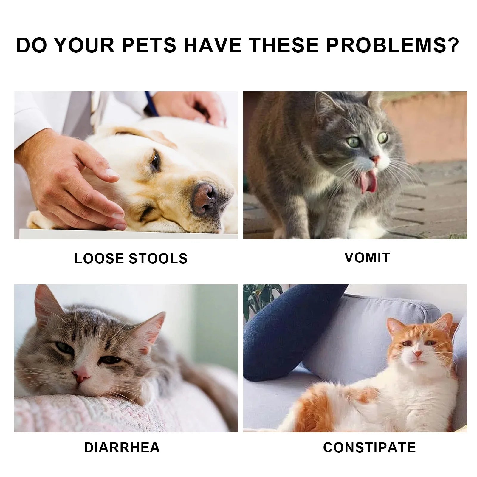 Yegbong Pet Health Drops Cats Dogs Balanced Nutrition Enhance Puppy Kitten Disease Immunity Multi Vitamin Pet Health Supplements Qme