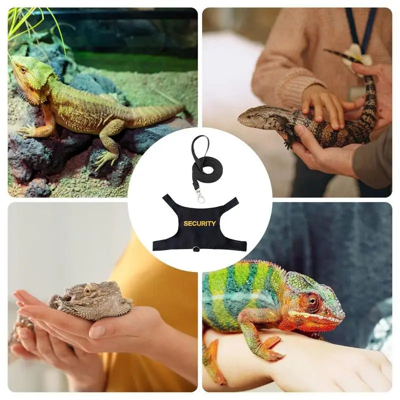 Reptile Lizard Gecko Bearded Dragon Harness and Leash Comfortable Bearded Dragon Clothes for Outdoor Pet Chameleon Supplies Qme