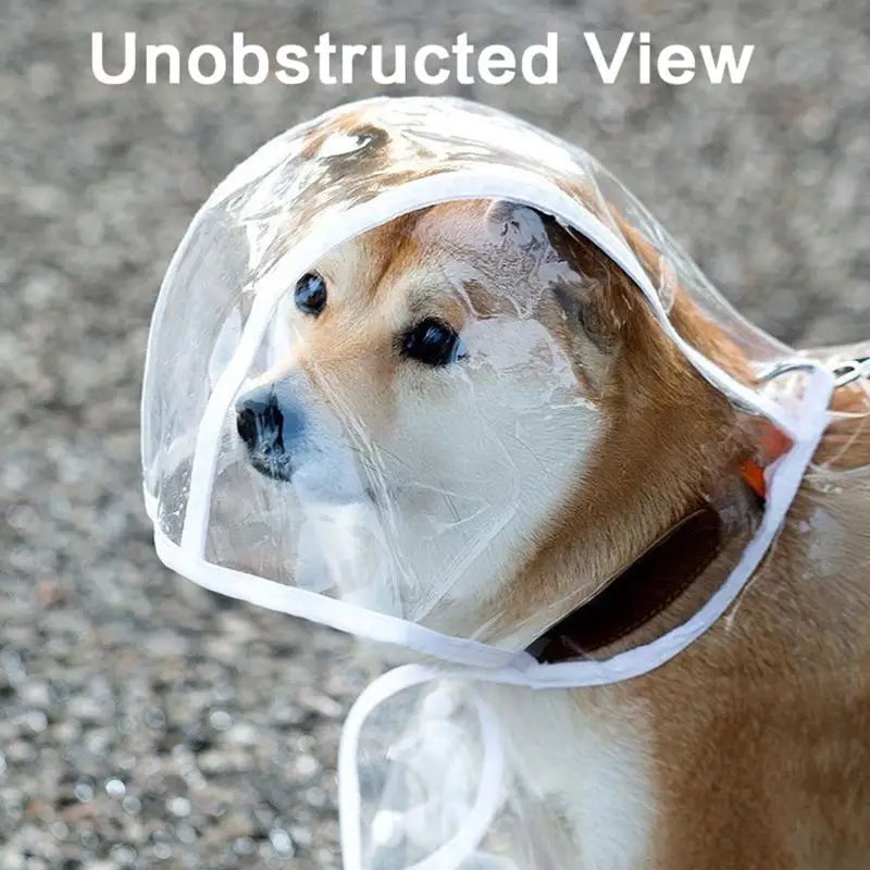 Windproof Pet Clothing Large Dog Costume Raincoat Transparent Qme