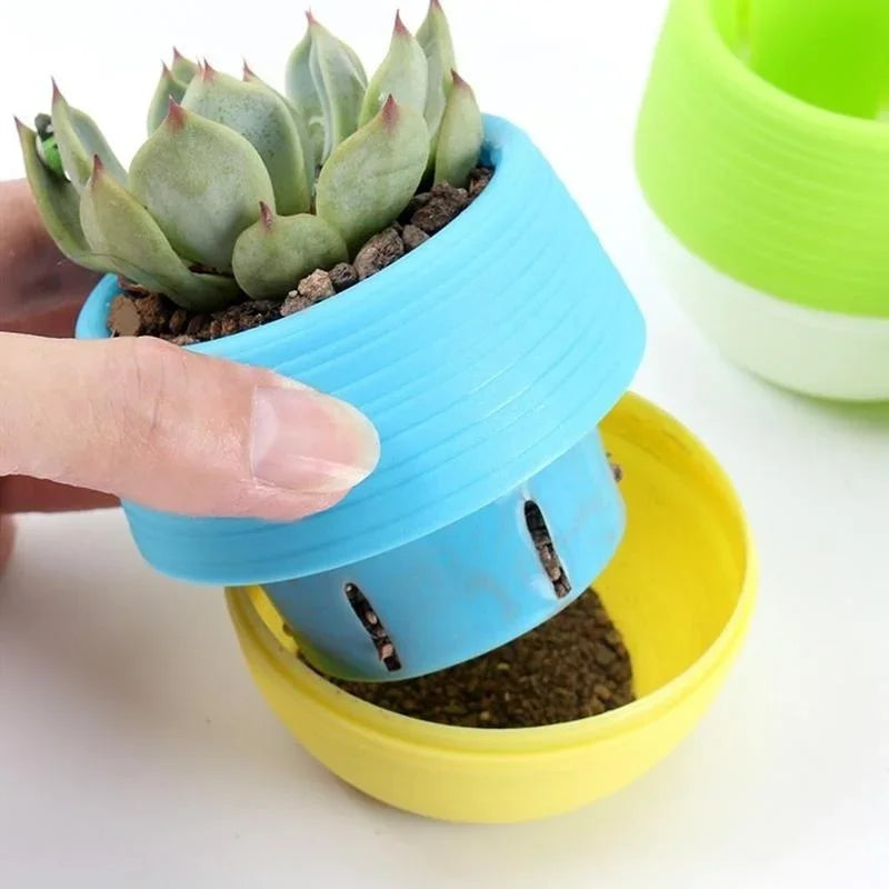 1 Creative Eco-friendly Colourful Mini Round Plastic Plant Flower Pot Qme