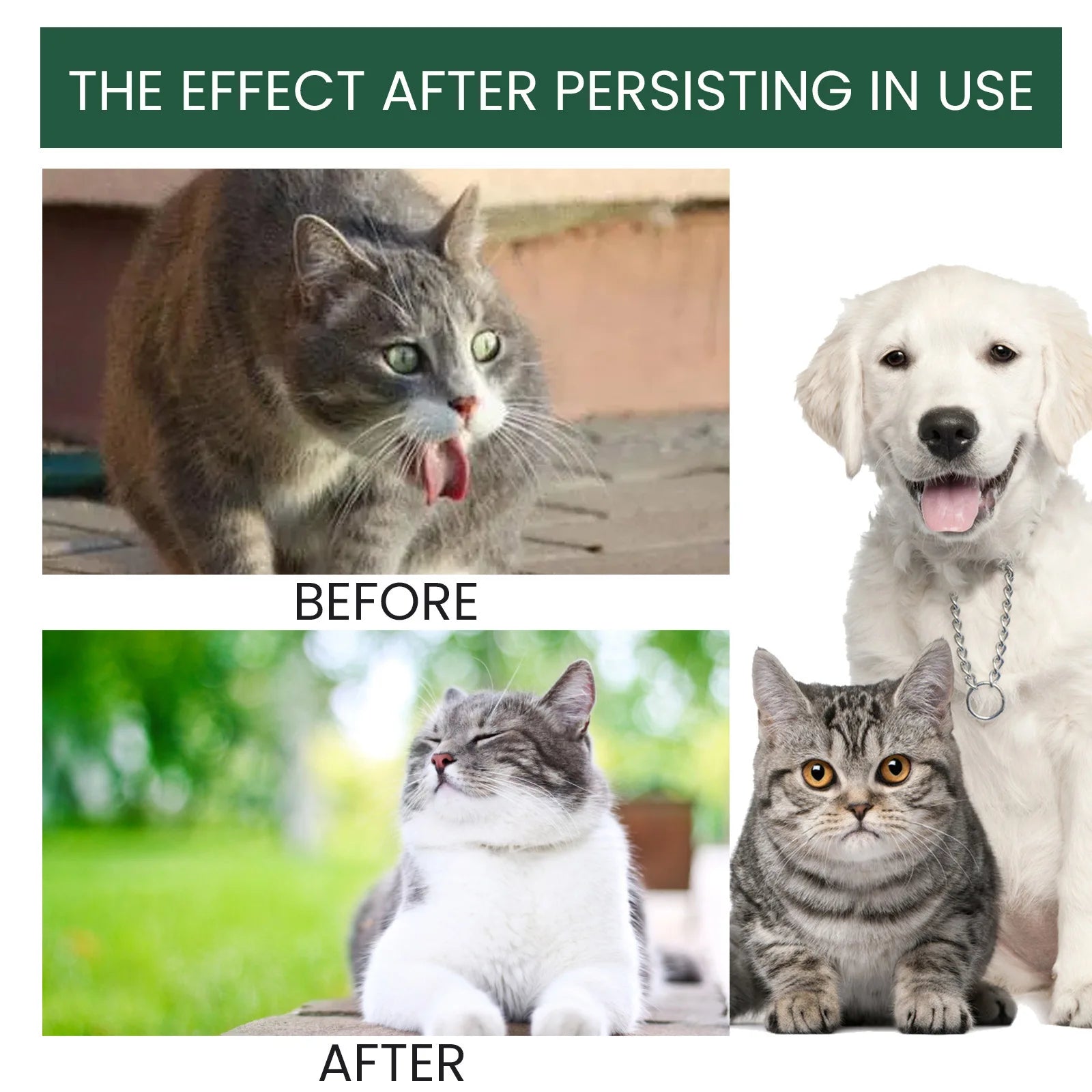 Pet Health Supplements Multi Vitamin Enhance Physical Fitness Protect Dogs Cats Stomach Oral Care Bad Breath Removal Pet Drops Qme