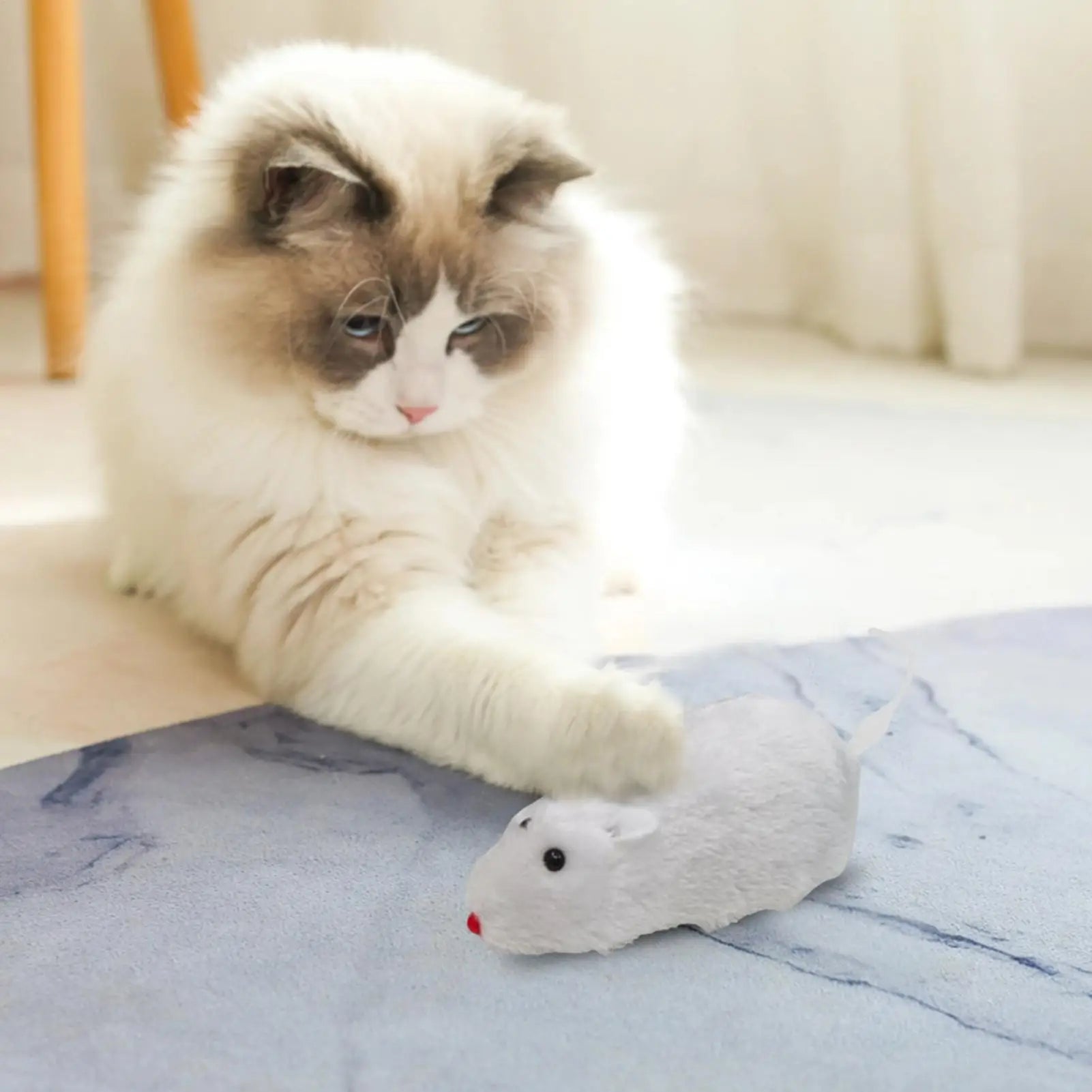 Moving Mouse Cat Toy Plush Wind up Cat Toys Mouse Shape Interactive Cat Chasing Toys Interesting Playtime Supplies for Kitten Qme