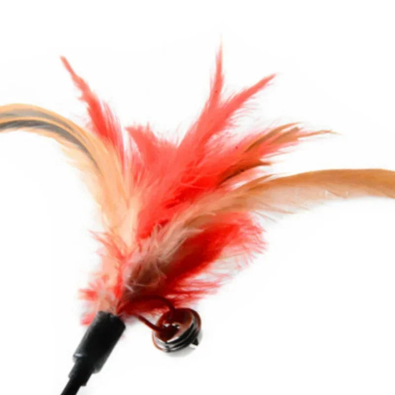 2 Pcs Cat Toy Bell Feather Funny Cat Rod Toy Cat Toys Interactive Cat Accessories Pet Cat Supplies Qme