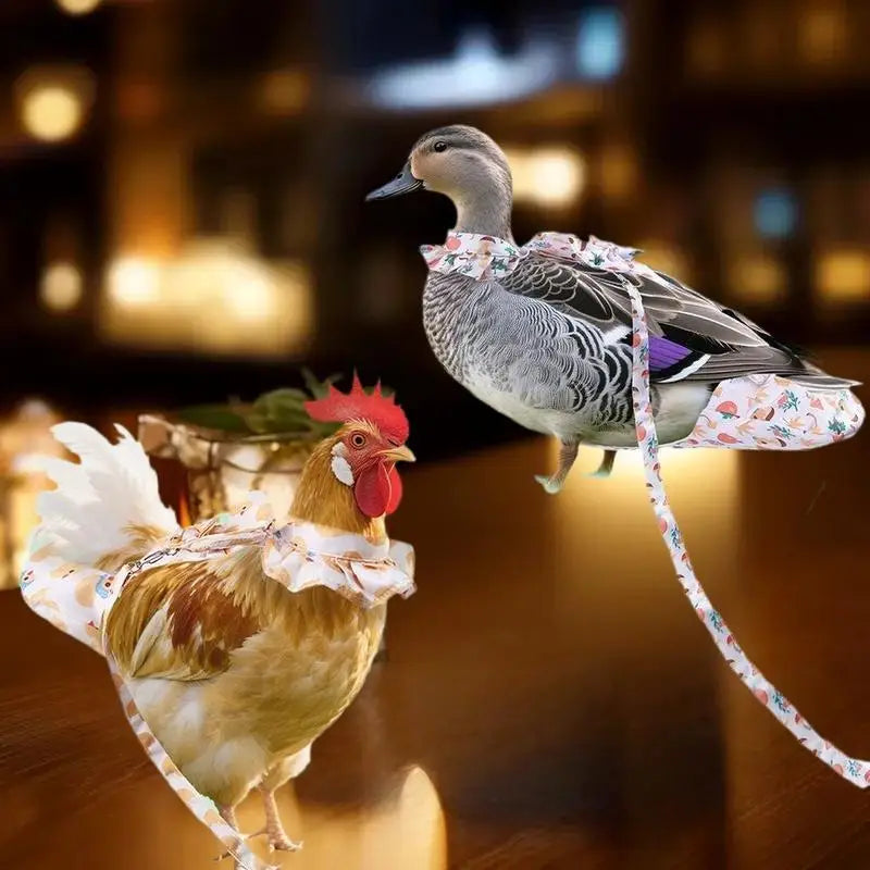 1 Fashion Chicken Duck Vest Diaper Hen Belt Pet Traction Rope Qme