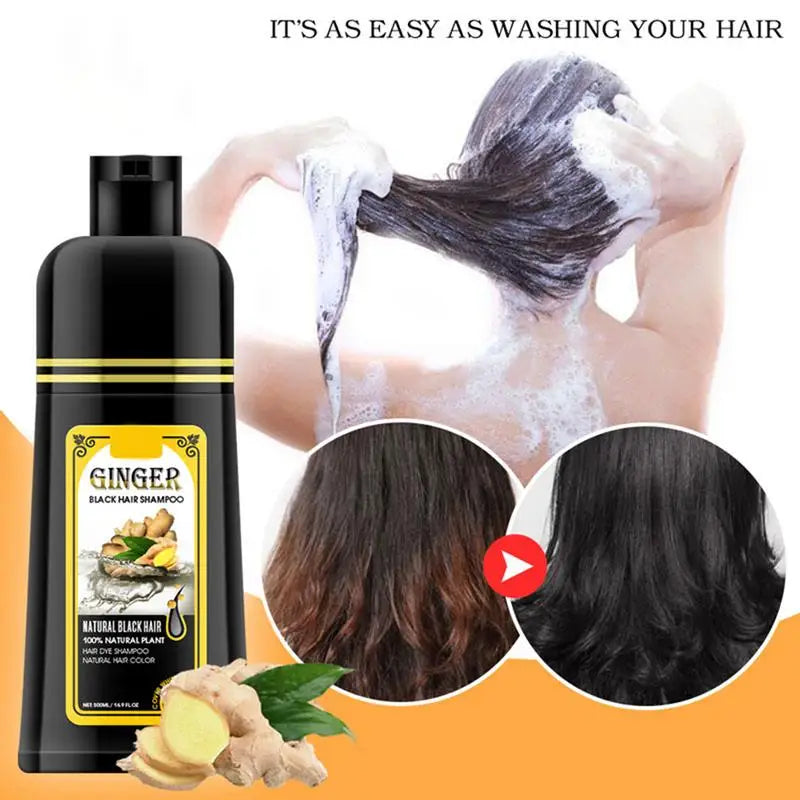 500ml Ginger shampoo coconut Shampoo Natural Hair Dye Shampoo Blacking Gray Hair Dye Black Shampoo For White Coloring Qme