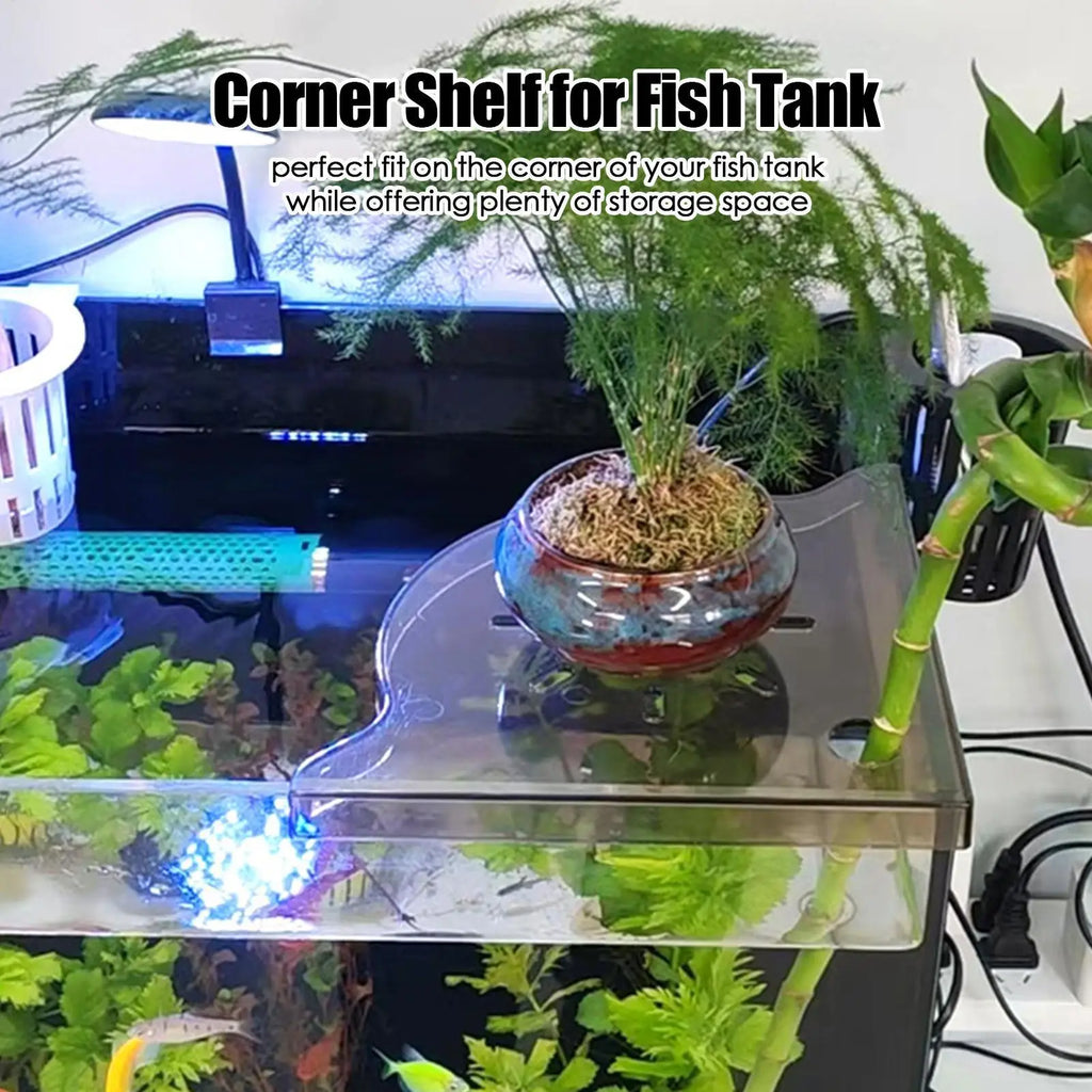 Aquarium Plant Holder Triangle Fish Tank Corner Shelf Reef Accessories Home Storage Stand For Family Friends Women Men Adults Qme