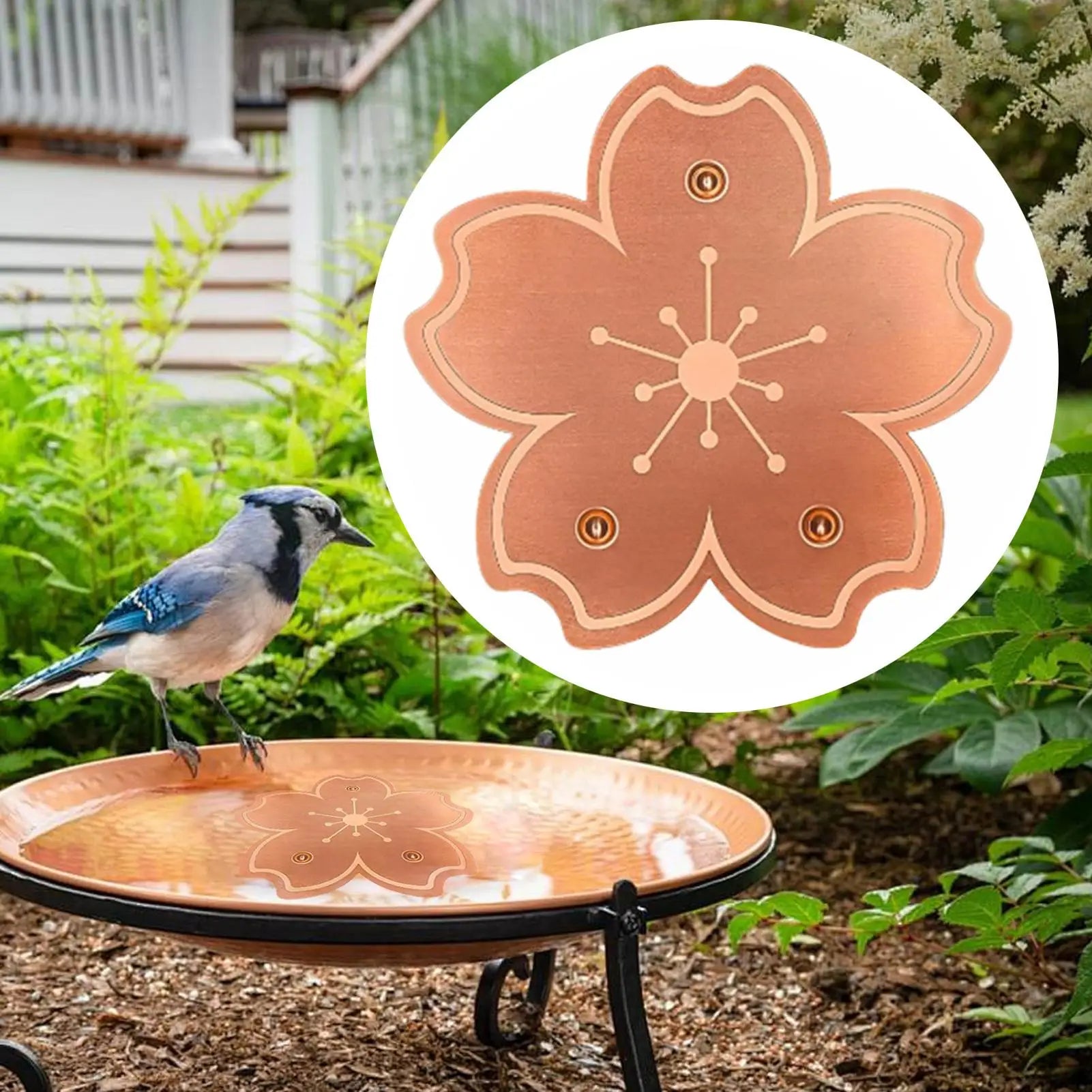 Copper Bird Bath Cleaning Disk Stable Feeder Bowl Purifier Plate Copper Bird Bath Purification Cleaner Disk for Outdoors Qme