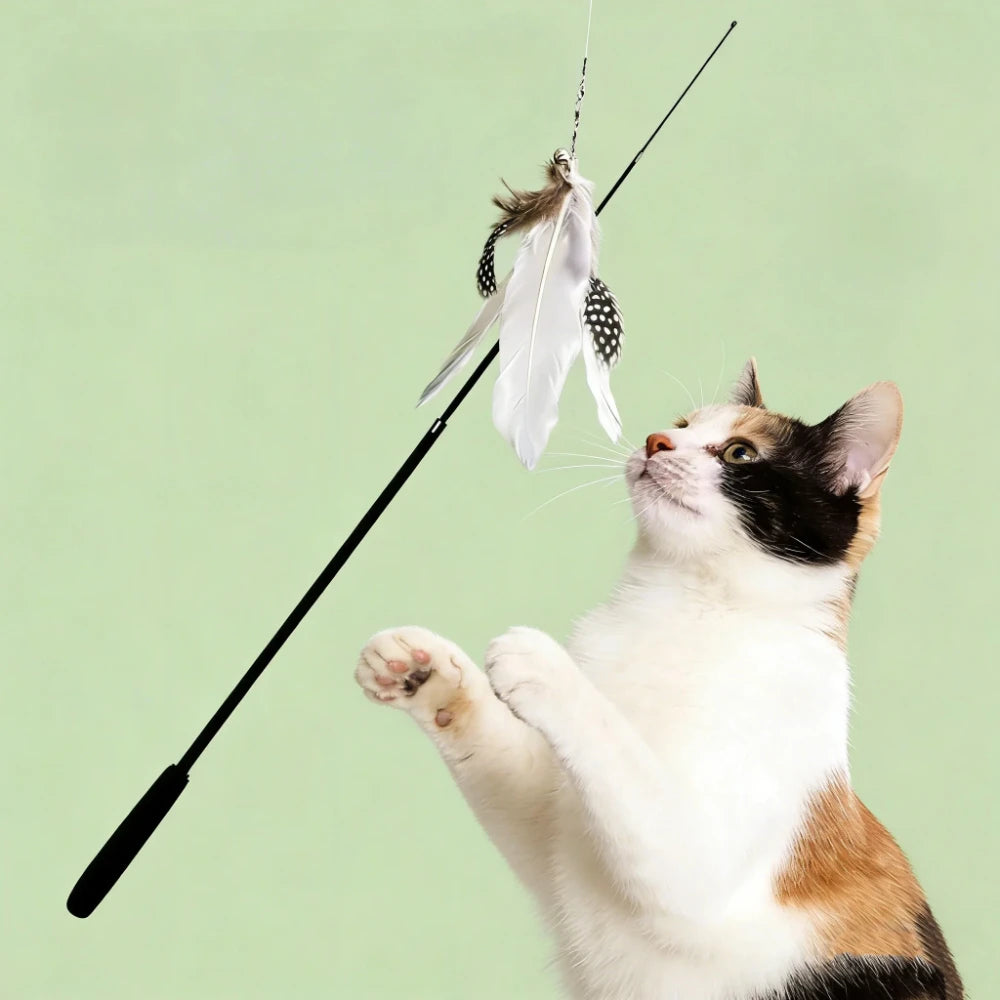 Durable 1.8M 4-Section Telescopic Cat Teaser Wand Catnip Interactive Fishing Rod Toy for Kitten Pet Plaything Qme