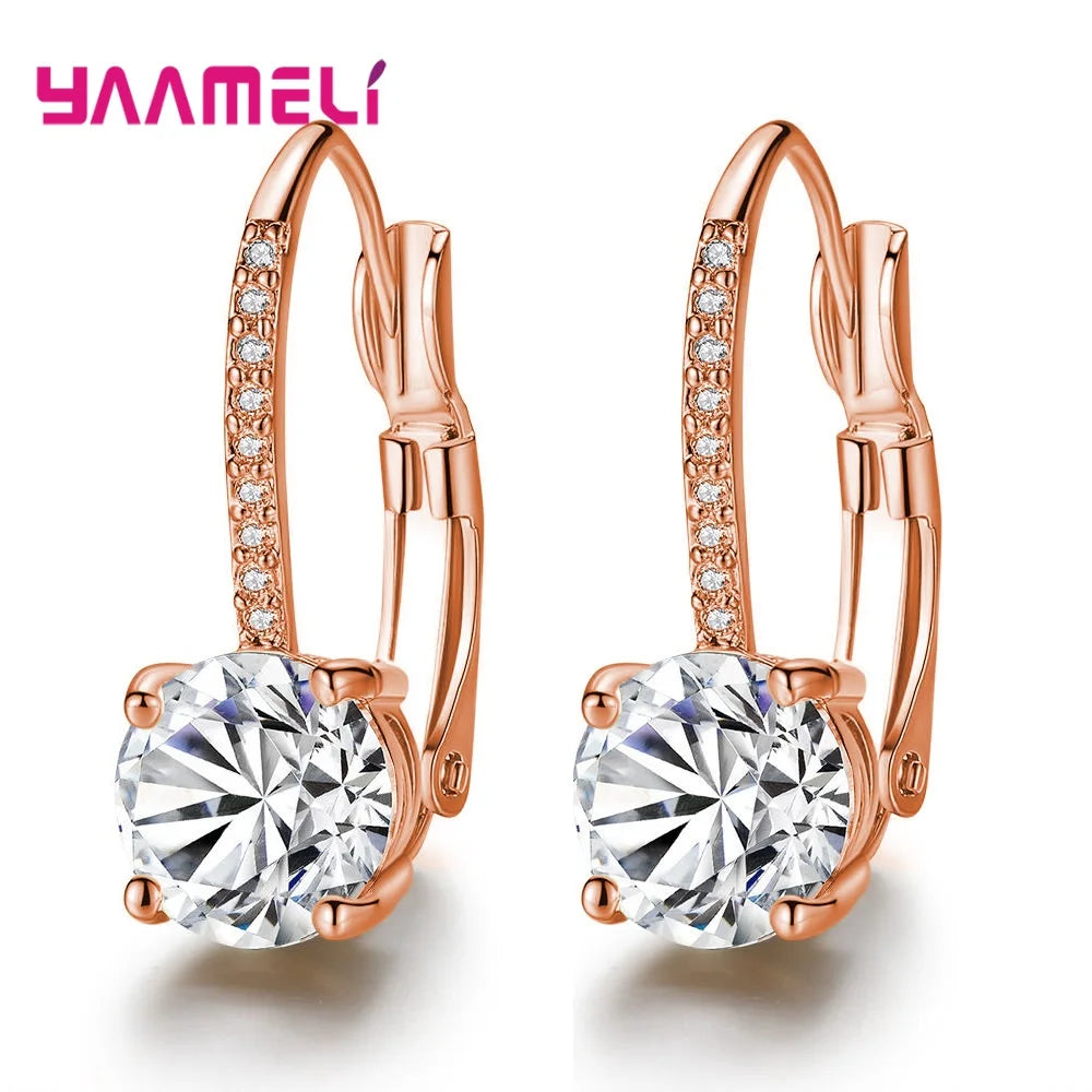 Exquisite Bright Crystal Gold Color 925 Sterling Silver Color Earrings Fashion CZ Rhinestone Jewelry For Women Wholesale Brincos Qme Rose Gold