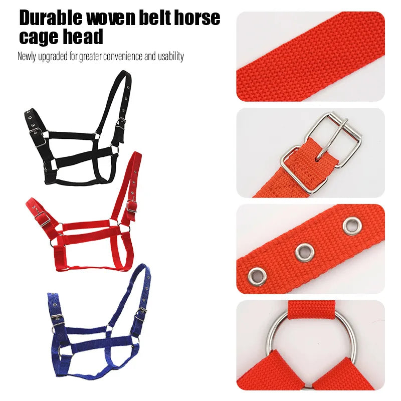 Adjustable Horse Bridle Reins Headstall Universal Fit Ponies Small Qme