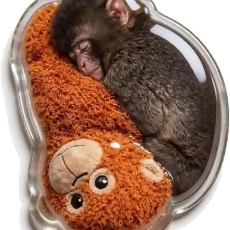 Creative Monkey Refrigerator Magnet, Magnetic Memo Message Holder, Unique Animal Home Decor Peg Qme one size A2