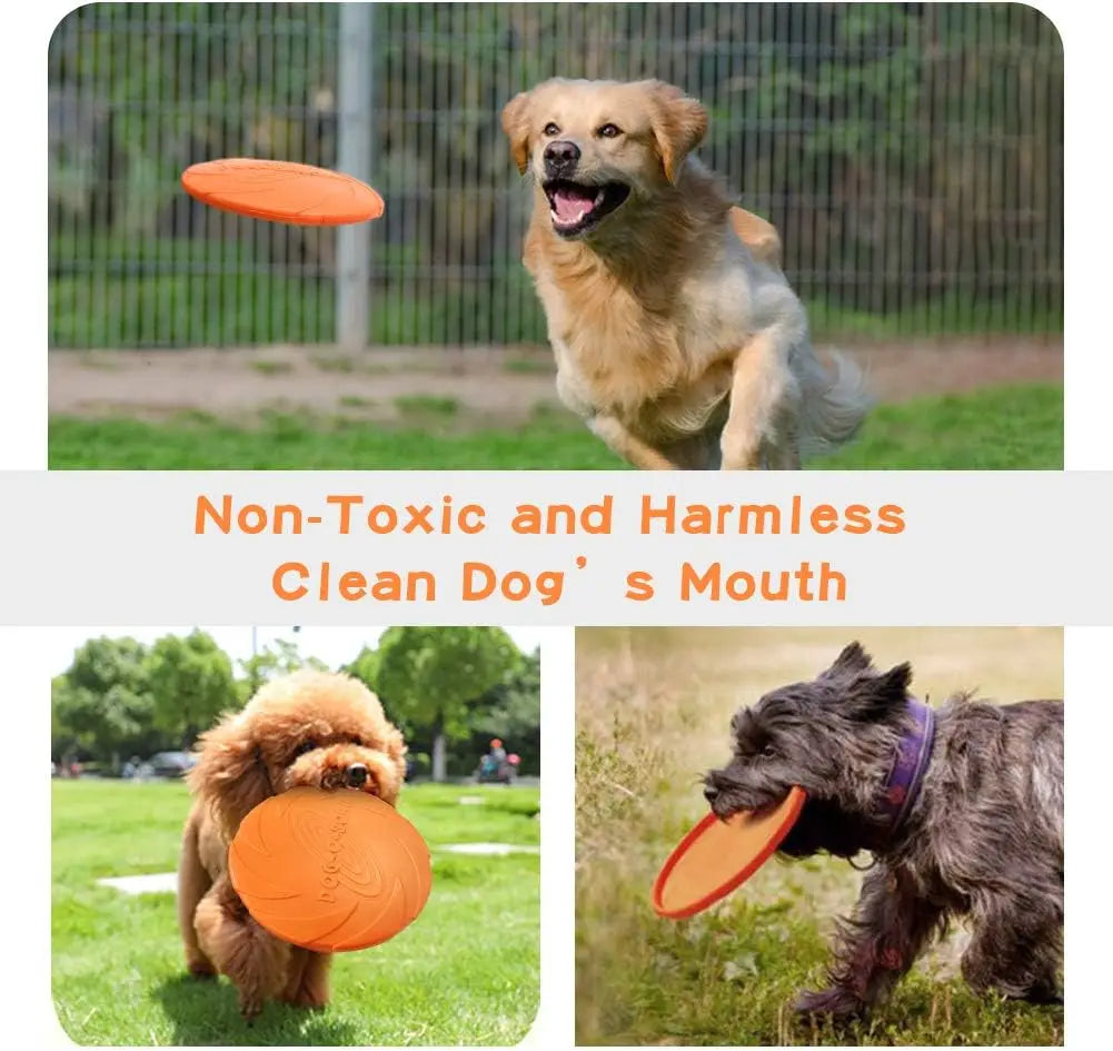 Pack dog frisbee, durable pet interactive toy rubber, suitable for outdoor training of medium-sized and large dogs Qme