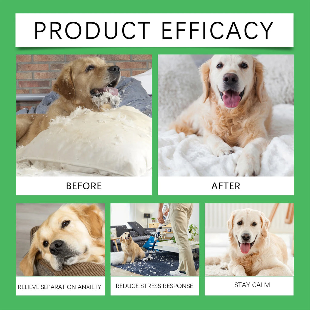Dog Emotion Diffuser Set for Anxiety Relief Home Environment Stress Care Kit to Effectively Reduce Dogs' Pressure Qme