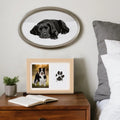 Cat Paw Print Impression Puppy Footprint Souvenir Owners Event Qme China Mainland