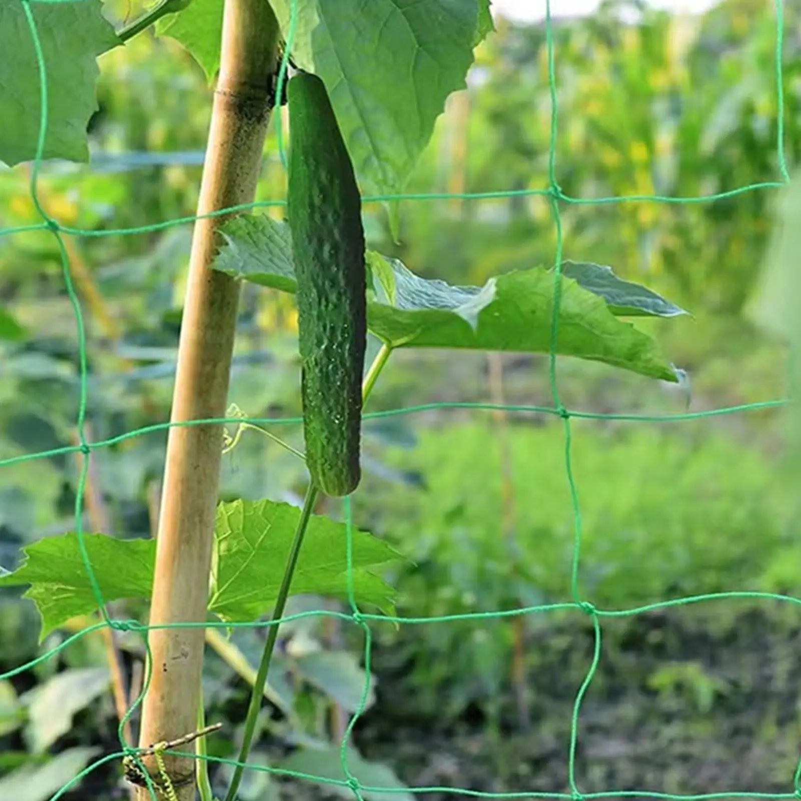 Plant Trellis Netting Heavy-Duty Elastic Plant Net Flexible Plant Support for Beans Tomatoes Peas Pumpkin Flowers Garden Netting Qme