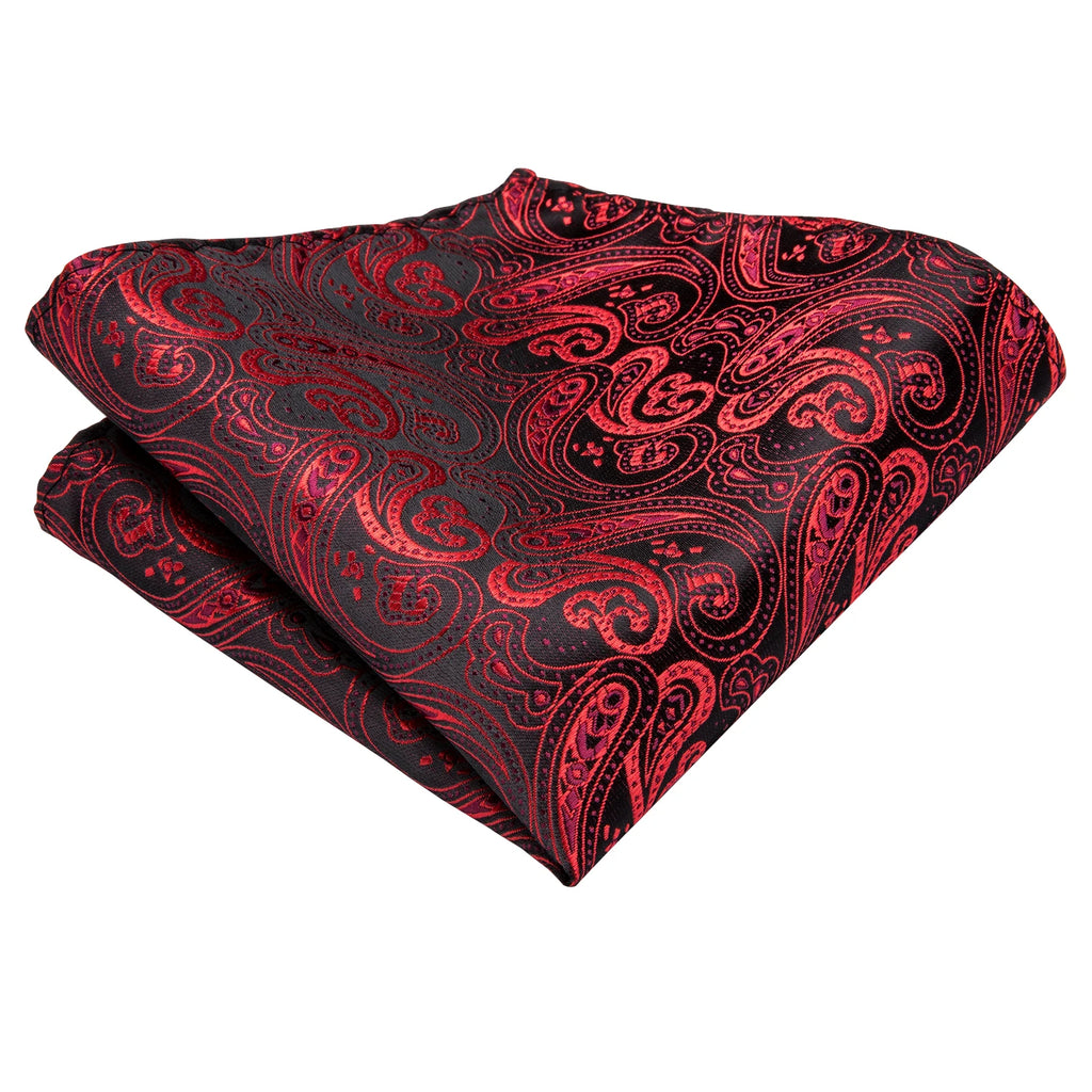 Hi-tie Mens Ascot Brooch Black Blue Red Gold Purple Paisley Cravat Qme