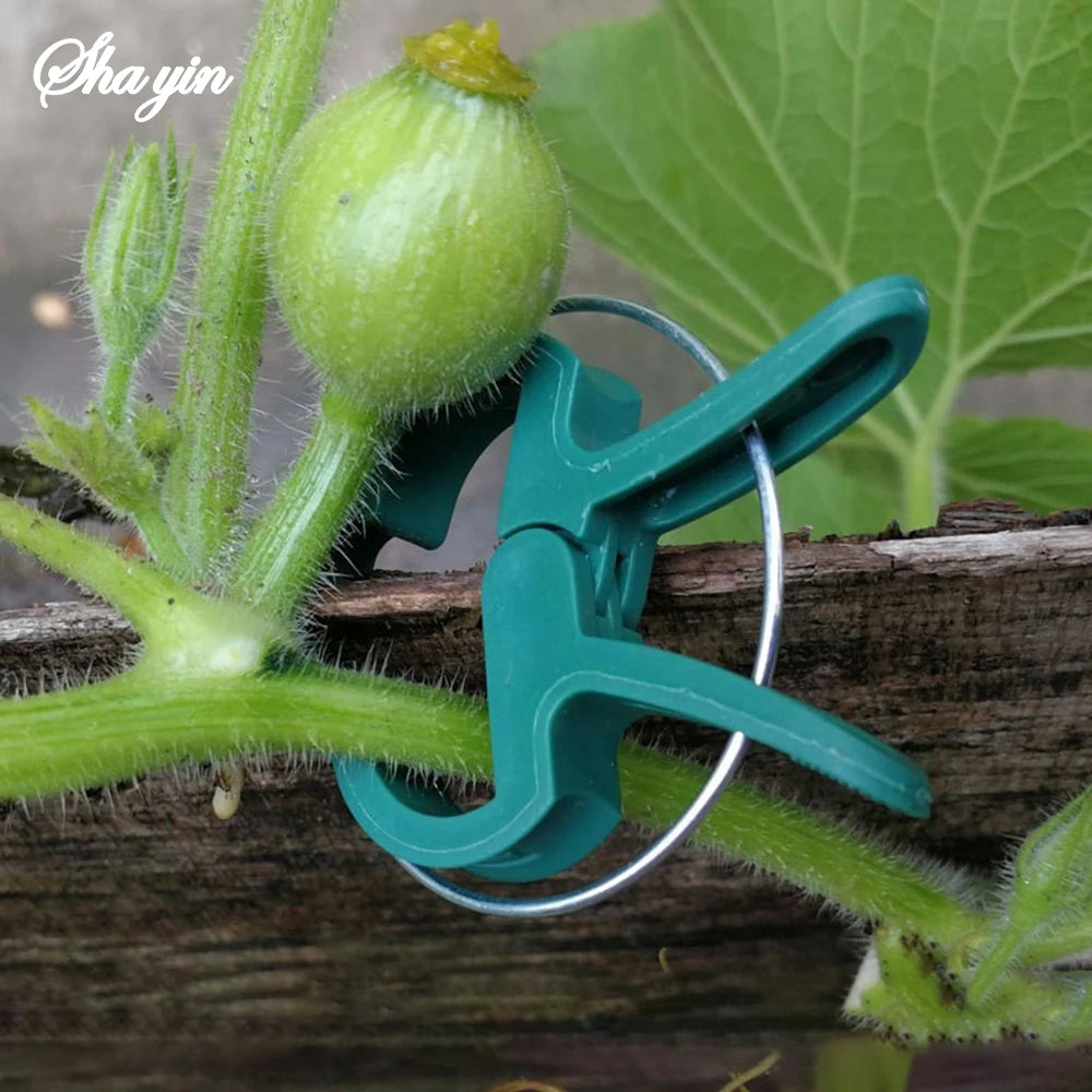 20PCS Garden Butterfly Orchid Garden Set Tomato Plants Clip Plastic Clips Gardening Tools Qme