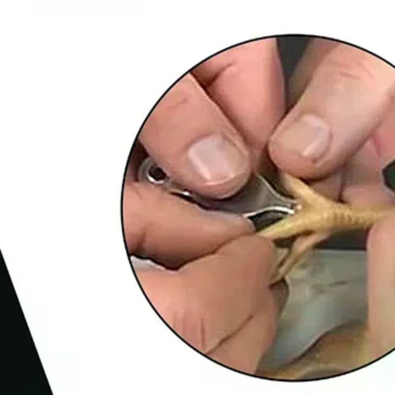 Chicken Toe Punch Permanent Identification Tool Chicks Ducklings Mice Qme Default Title